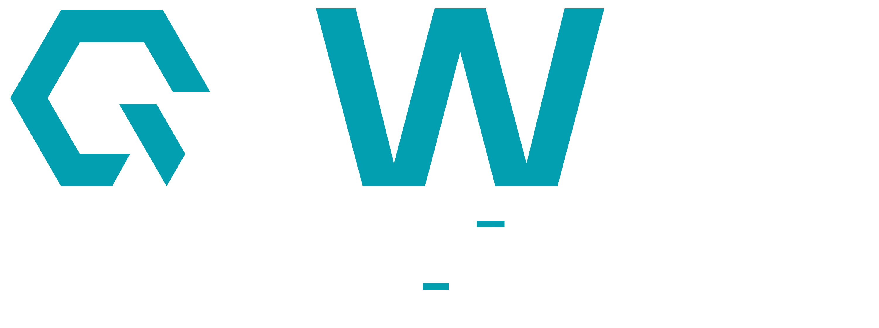 Qowati EMS
